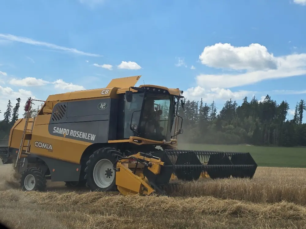 Sklizeň obilí kombajnem na poli u Václavova